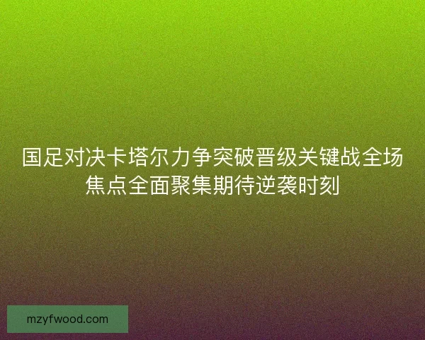 国足对决卡塔尔力争突破晋级关键战全场焦点全面聚集期待逆袭时刻