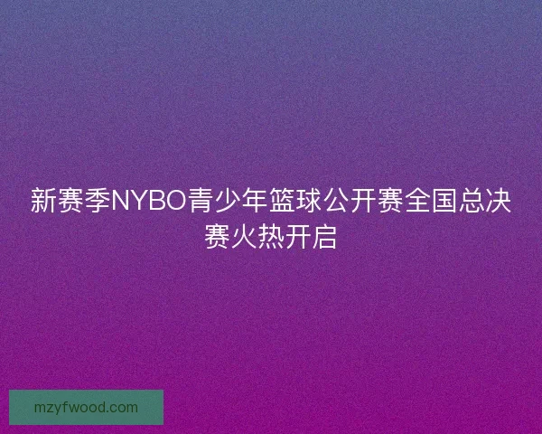 新赛季NYBO青少年篮球公开赛全国总决赛火热开启